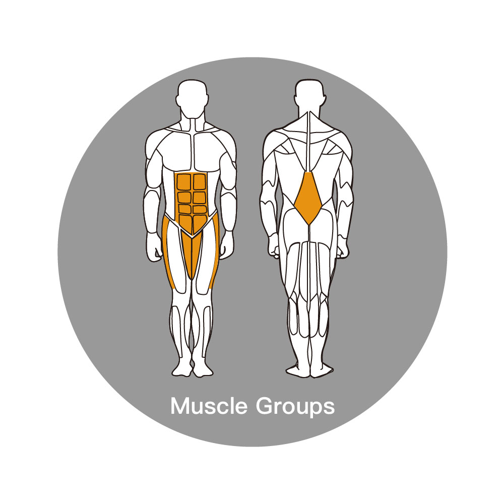 R202-Muscle Groups